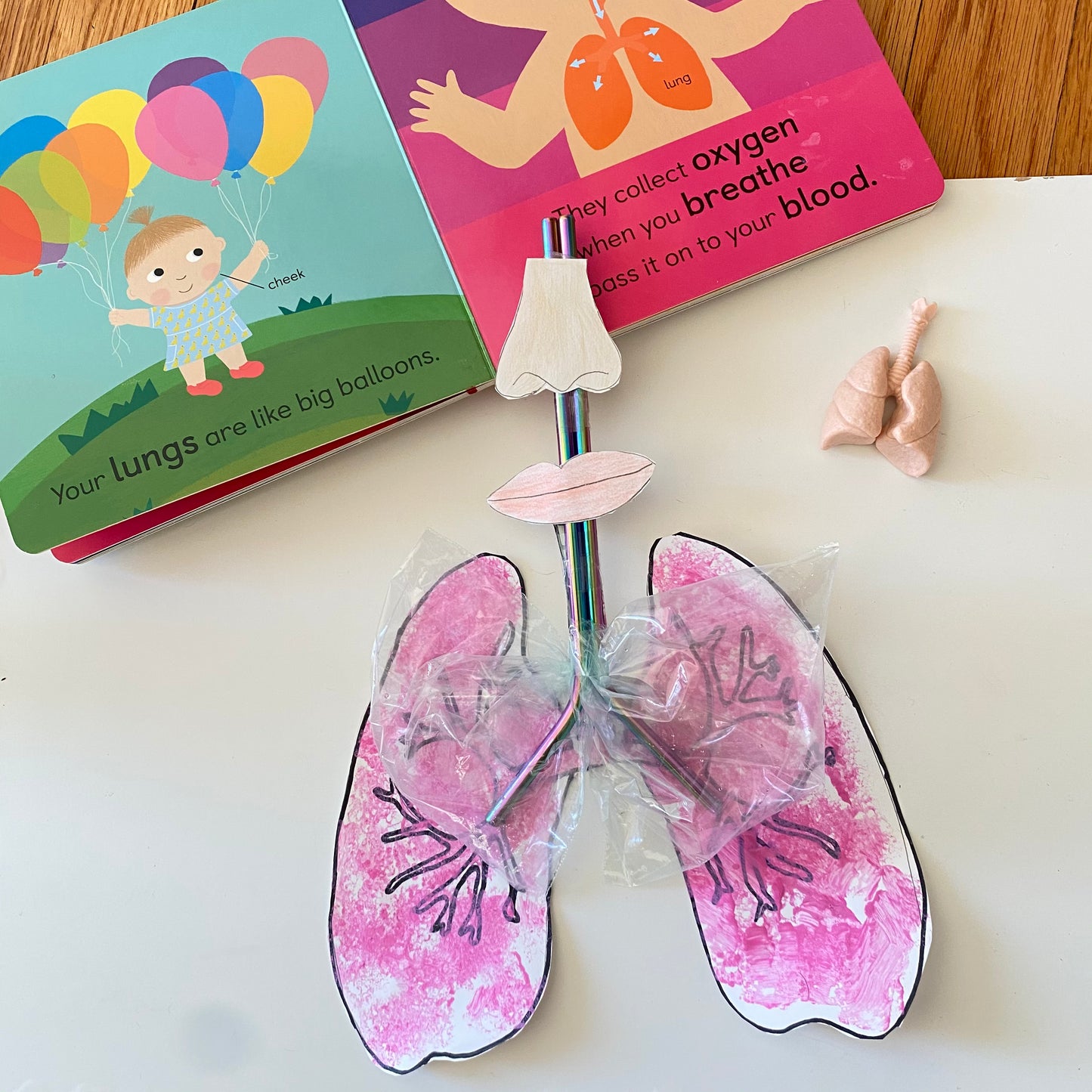 Home Camp: Doctor Week