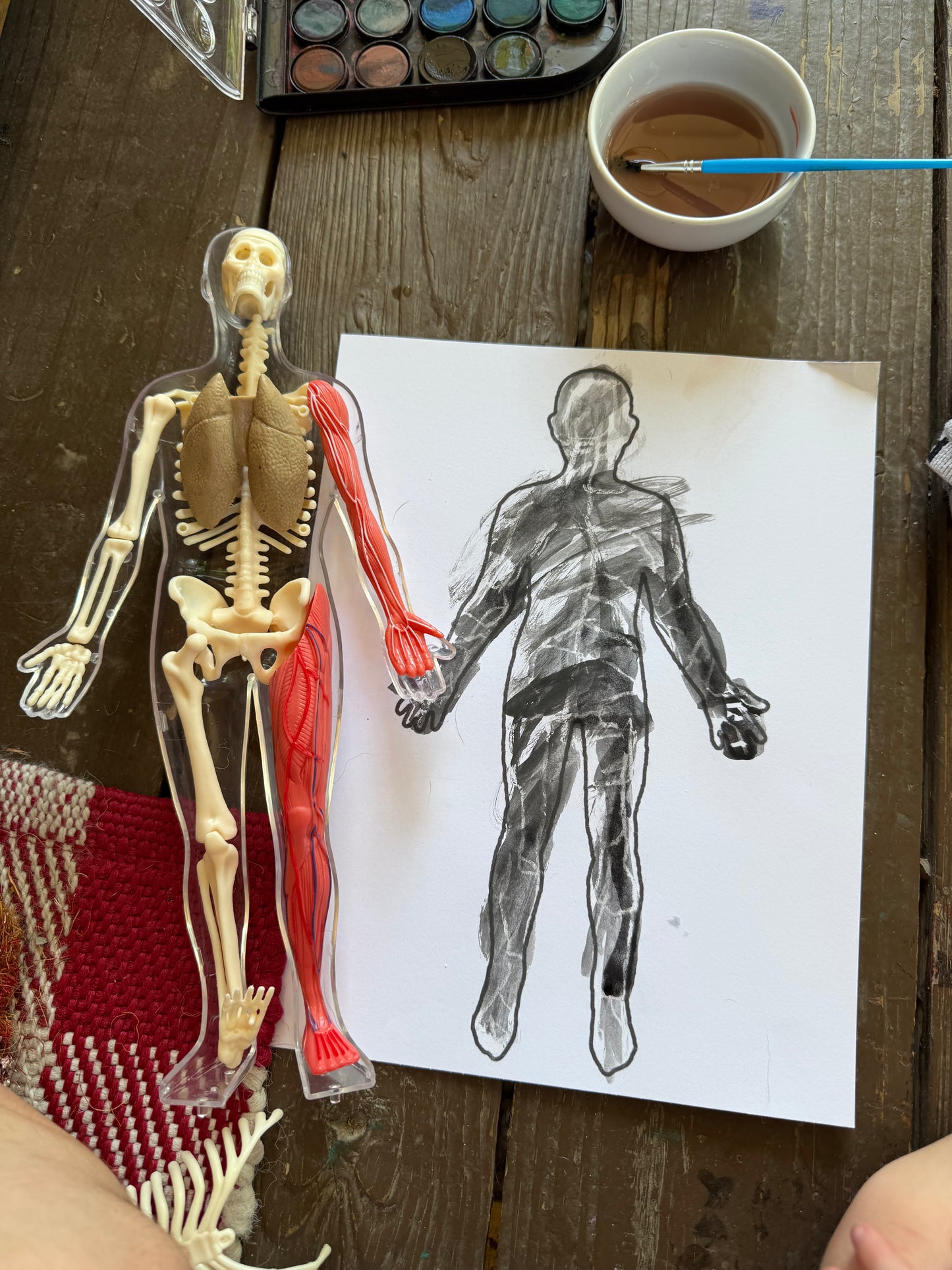 Home Camp: Doctor Week