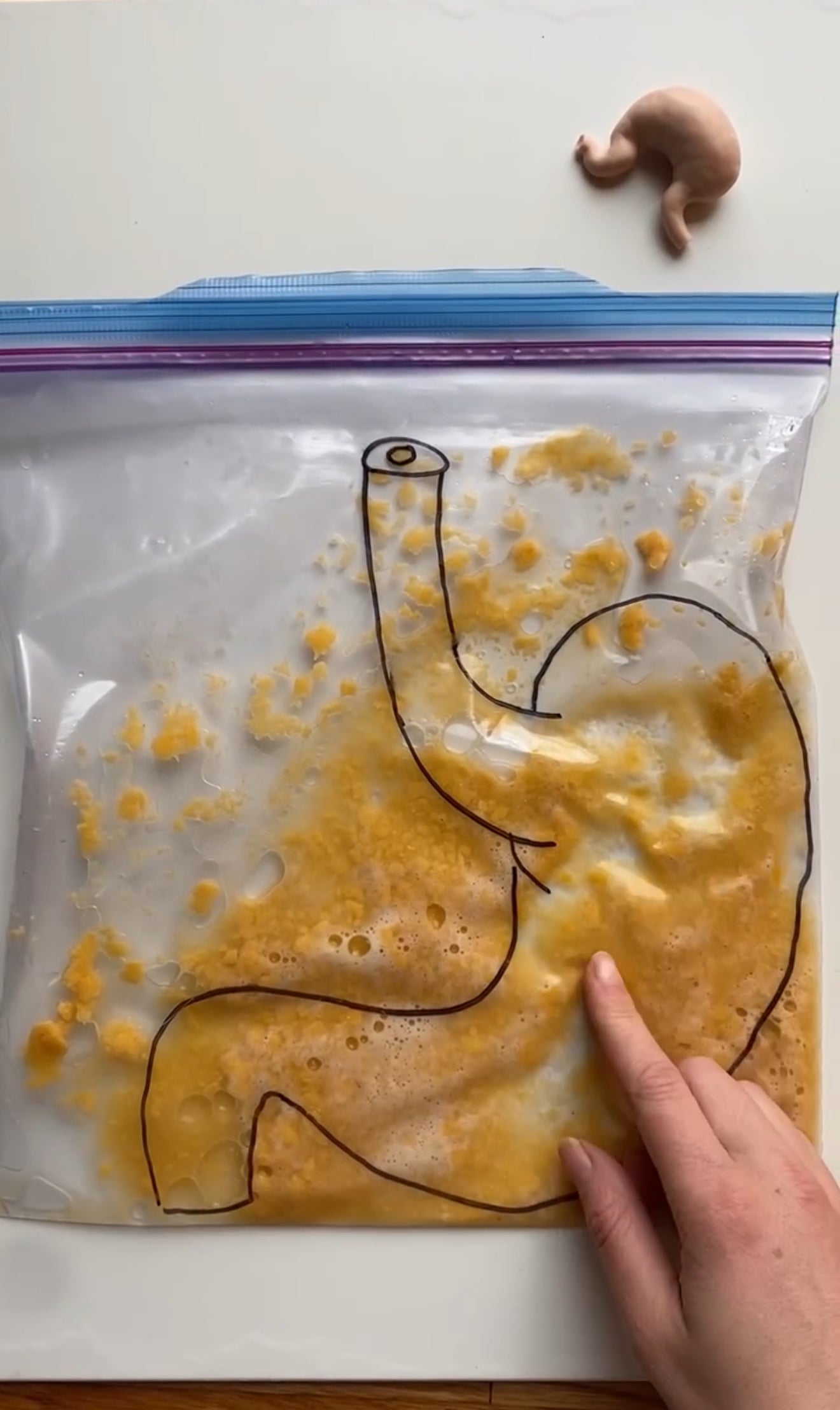 Home Camp: Doctor Week