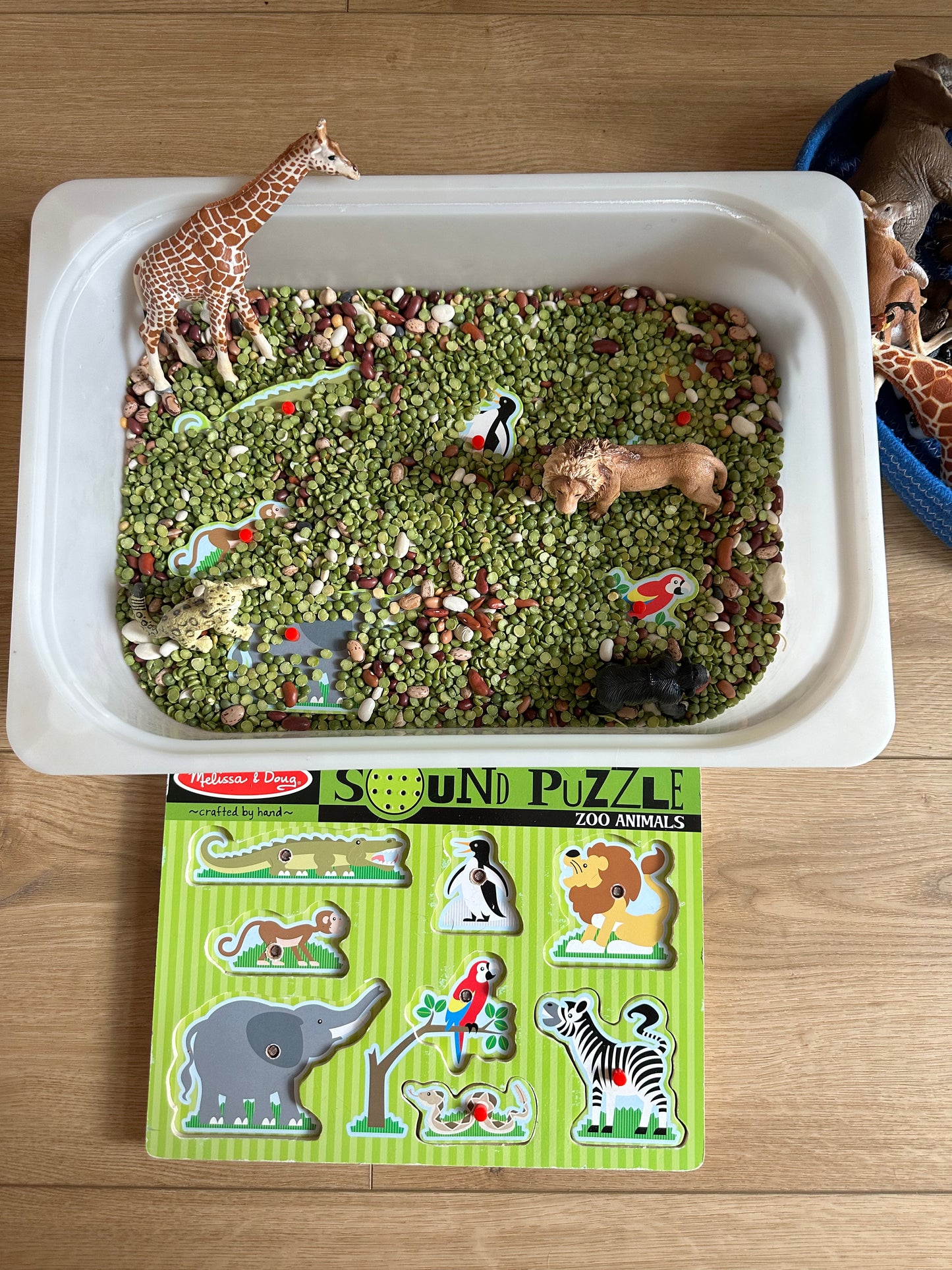 Letter XYZ Activities