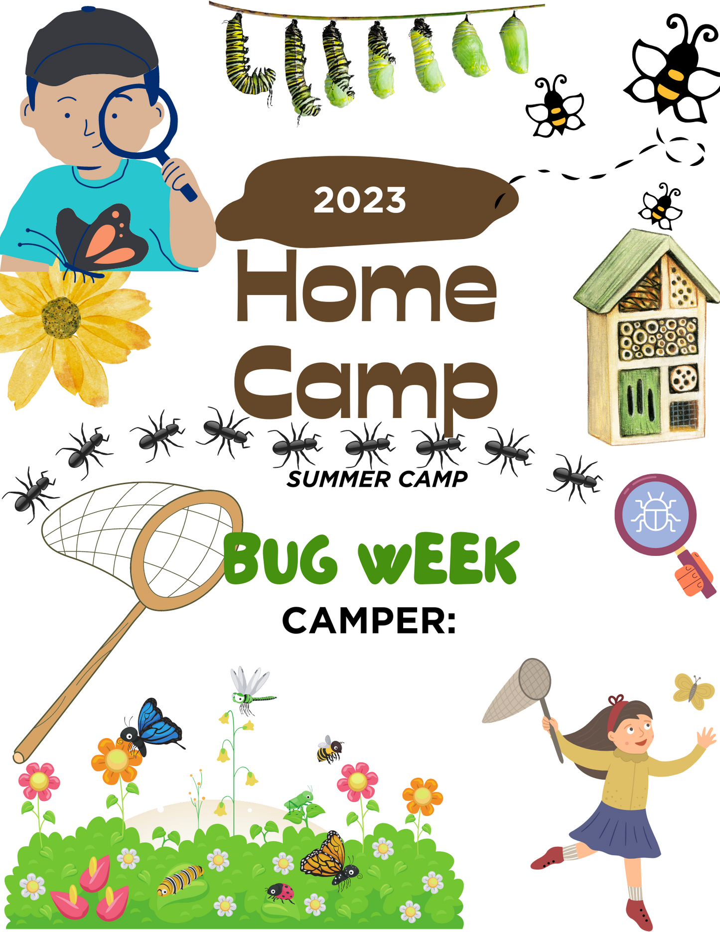 HOME CAMP- BUG WEEK