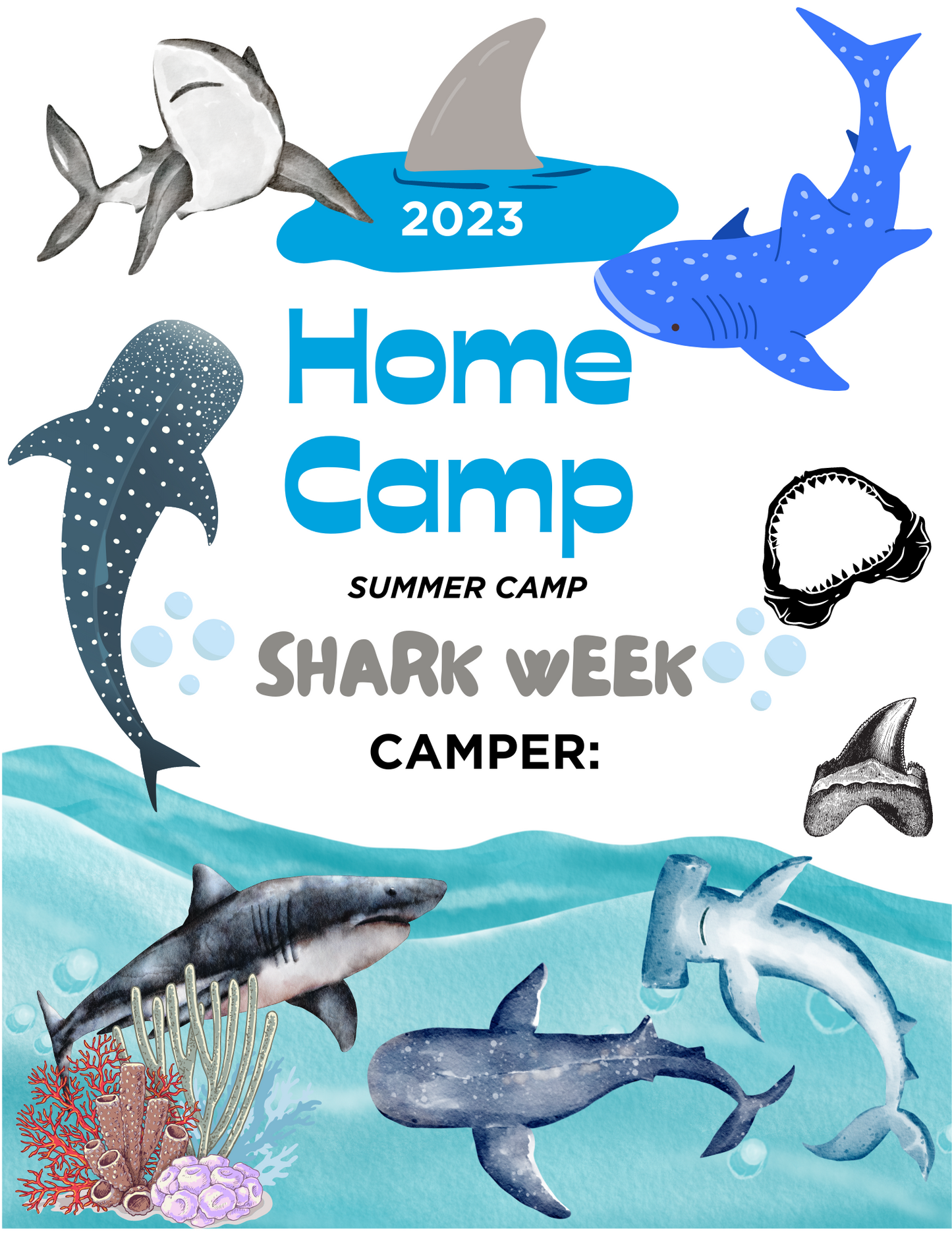 HOME CAMP- SHARK WEEK